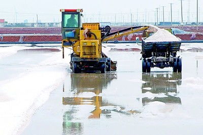 昔日鹽堿灘，今日聚寶盆 漁業機械化繪就生態富民新圖景